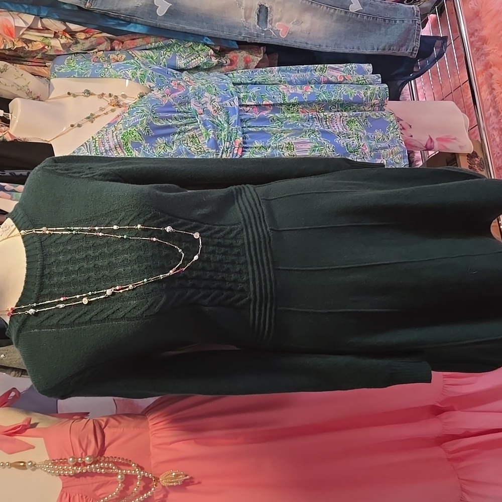 Private Label Dark Green Long Sleeve Sweater Dress NWT